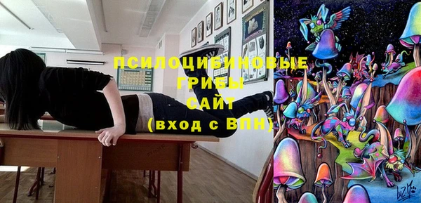 прущие крисы Гусев