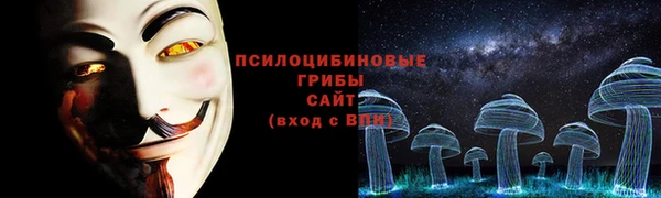 марки nbome Гусь-Хрустальный