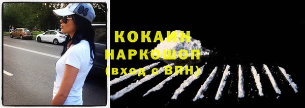 прущие крисы Гусев