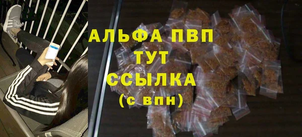 прущие крисы Гусев