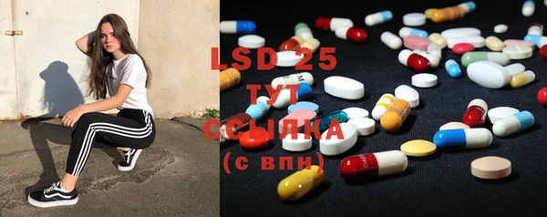 индика Вяземский