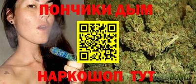 прущие грибы Севастополь