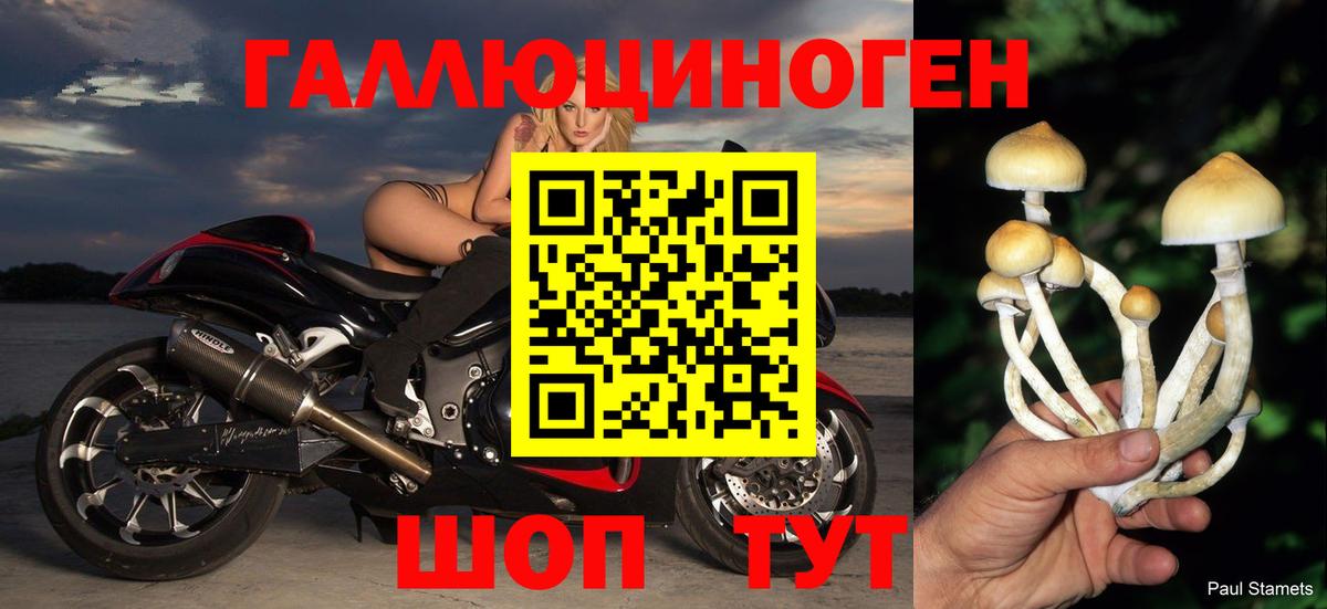 Псилоцибиновые грибы мицелий Мончегорск