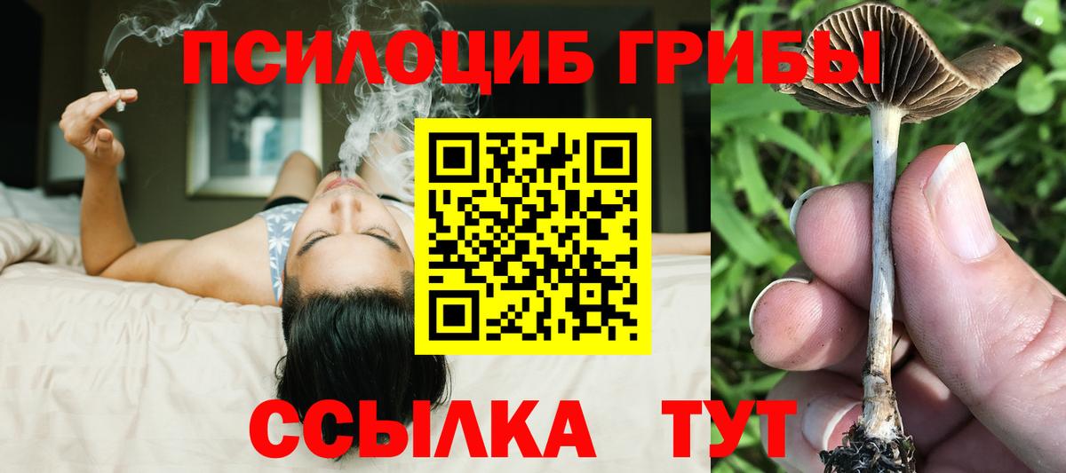 Галлюциногенные грибы Psilocybe  Вход с VPN  где продают   Мончегорск 
